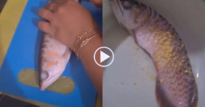 Video: Giận chồng, vợ đem con cá rồng được đồn có giá gần 7 tỷ đồng chiên giòn
