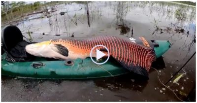 Video: Thả câu giữa vùng nước vắng, người đàn ông kéo lên thuyền một con cá ‘khủng’, sau đó đã thả đi