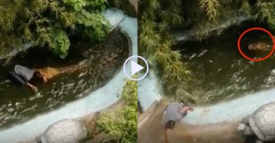 Video: Suýt mất mạng vì tưởng cá sấu là mô hình nên xuống chụp ảnh