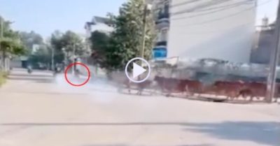 Video: Nam thanh niên nẹt pô bị đàn bò rượt chạy té khói