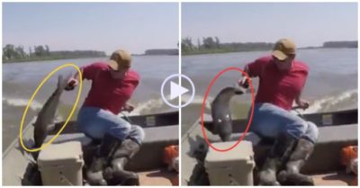 Video: Chàng trai thích thú khi cá mè ‘khủng’ bất ngờ nhảy lên thuyền