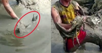 Video: Thanh niên tay không bắt cua ‘khủng’ ẩn dưới bùn