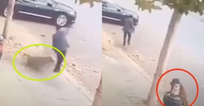 Video: Cú né của người đàn ông biến lợn rừng thành trò cười