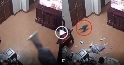 Video: Camera giải oan cho cậu bé khi vỡ bình hoa