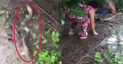 Video: Đua nhau bắt cá lên bờ sau trận mưa lớn