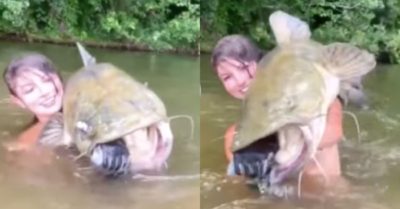 Video: Cô gái xinh đẹp tay không bắt cá ‘khủng’