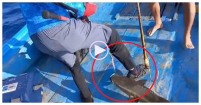 Video: Cần thủ hoảng hốt khi bị cá móc lưỡi câu vào chân