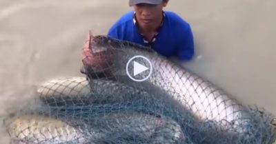 Video: ‘Cao thủ’ một lần quăng chài bắt được 3 con cá khủng