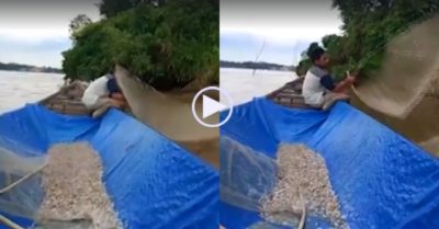 Video: Người đàn ông cầm vợt xúc hàng nghìn con cá từ dưới sông lên