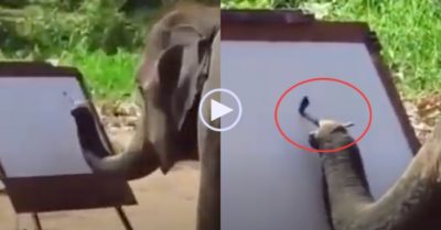 Video: Con voi tự vẽ chân dung mình