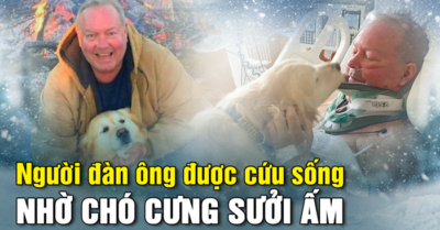 Chủ nhân gặp nạn giữa trời đầy tuyết, chó cưng không bỏ đi mà luôn ở bên cạnh sưởi ấm suốt đêm