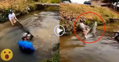 Video: Cá khủng tẩu thoát khiến 2 thanh niên kéo lưới tiếc ngẩn ngơ