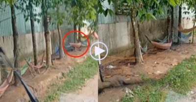 Video chuyện lạ: Võng tự động đưa qua đưa lại như có thứ ‘vô hình’ tác động