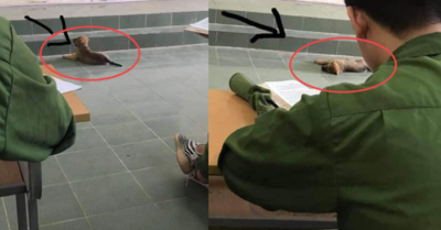 Đòi đi học cùng chủ, cún con nằm lăn ra ngủ trong lớp học khiến dân mạng phì cười