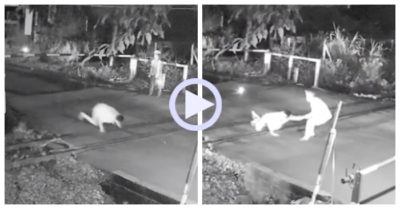 Video: Nhân viên gác chắn lao ra đường ray cứu người ngay trước khi tàu đến