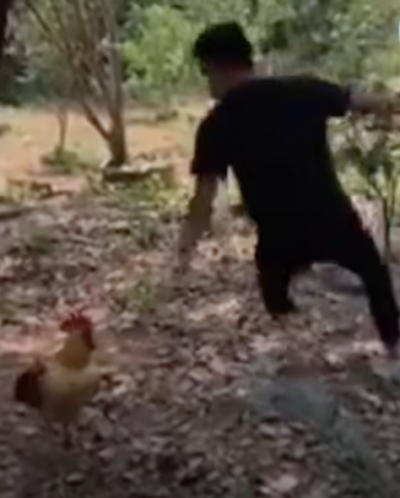 nam thanh niên và gà trống 1