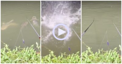 Video: Cần thủ nổi quạu vì bị cá không chịu ăn mồi