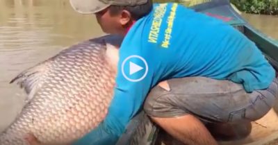 Video: Người đàn ông quăng chài bắt được cá lớn ‘khổng lồ’