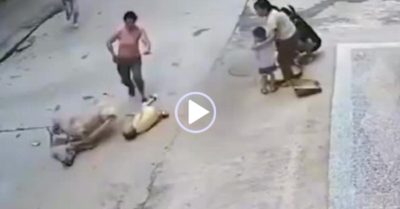 Video: Chú chó xả thân cứu cậu chủ nhỏ