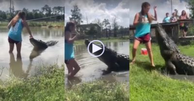 Video: Cô gái tay không vẫy cá sấu khổng lồ rồi cho ăn