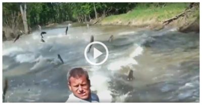 Video: Đi ngắm cảnh sông nước, du khách bị đàn cá tấn công nhảy vào thuyền