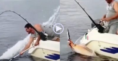 Video: Mực ‘khổng lồ’ phun nước như máy bơm tấn công cần thủ