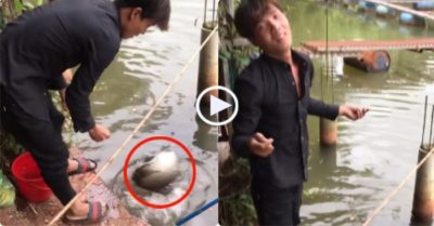 Video: Nam thanh niên tiếc ngẩn ngơ vì để sổng cá chép ‘khủng’