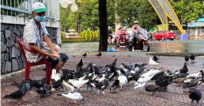Người đàn ông Cần Thơ – ân nhân của hơn 500 con chim trời