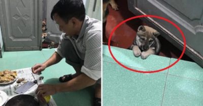 Đang chặt thịt gà, người đàn ông bỗng thấy bồn chồn vì những kẻ đang rình rập ngoài cửa, quyết không chịu rời đi