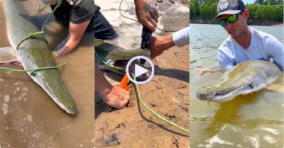 Video: Hai thanh niên câu được cá ‘khủng mỏ dài’ và hành động bất ngờ sau đó