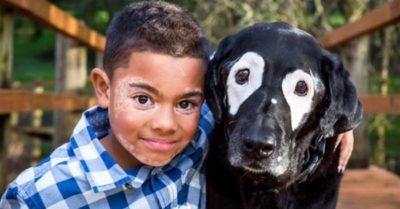 Cậu bé hết buồn tủi khi gặp chú chó cùng mắc bệnh bạch biến giống mình