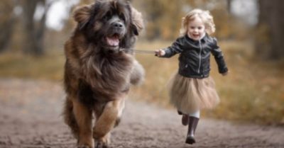 Chó cưng – người bạn đồng hành đáng yêu của trẻ em