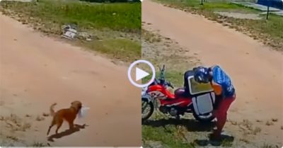 Video: Anh shipper ngơ ngác vì chú chó đi đến tha mất đồ không hay biết