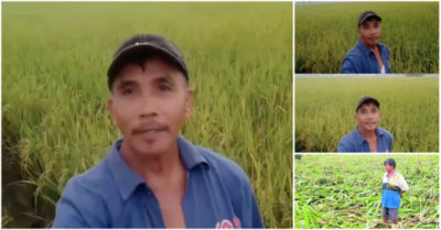 Người nông dân Philippines bên mảnh ruộng ‘lành lặn’ trước khi siêu bão Noru ập đến