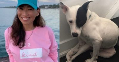 Người phụ nữ mắc bệnh ‘sợ chó’ nhận nuôi chú chó ‘sợ người’ và cái kết gây xúc động