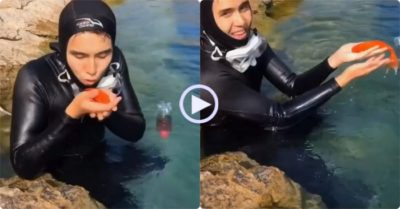 Video: Con cá được thả nhưng không muốn đi, bơi quay lại để được chàng trai âu yếm