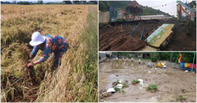 Tin tối 5/9: Máy gặt thiếu dầu, nông dân thiệt hại vì lúa chín rục; Lũ ập về, nhiều trường ở Nghệ An chưa khai giảng