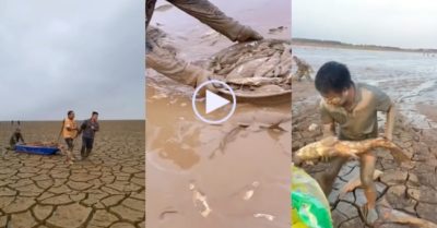 Video: Mang xô, chậu… đi ‘nhặt’ cá sau khi hồ nước bị khô cạn