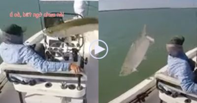 Video: Cá ‘khủng’ nhảy qua thuyền, vẫy vẫy đuôi trêu ngươi cần thủ