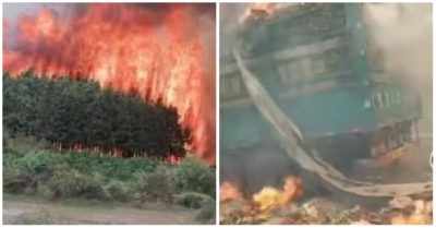 Video: Cháy rừng thiêu rụi đường cao tốc khi Tập Cận Bình gặp lãnh đạo tỉnh Quảng Tây