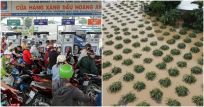 Tin tối 10/10: Cơn ‘khát’ xăng dầu lan tới Bình Dương, Đồng Nai; Ngập lụt khiến hàng trăm hecta thanh long chỉ còn thấy ngọn