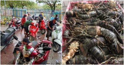 Tin tối 16/10: Nhóm thợ Quảng Nam ra Đà Nẵng sửa xe miễn phí; Sau lũ, tôm hùm chết hàng loạt