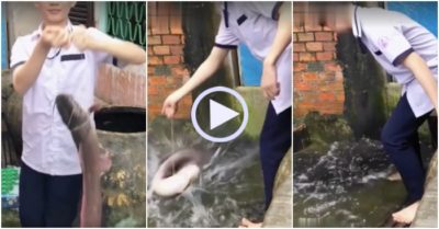 Video: Cá nhảy xuống cống thoát thân một cách ngoạn mục