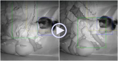 Video: Bé gái quyết không chịu đắp chăn khi đang ngủ