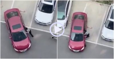 Video: Cô gái dùng sức đẩy ôtô vào chuồng