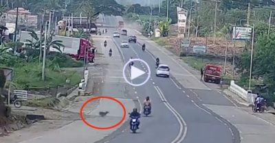 Video: Chó hoang lao ra đường, quật ngã hai người đàn ông đi xe máy