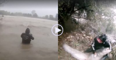 Video: Cần thủ câu được cá trê ‘khủng’ giữa dòng nước lũ