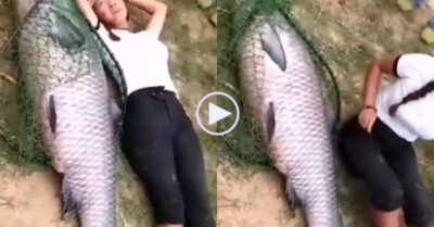 Video: Ngư dân thích thú vì bắt được cá trắm ‘khổng lồ’ 50kg