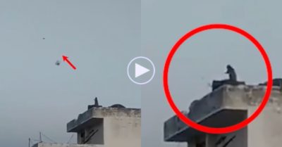 Video: Con khỉ lên sân thượng chơi thả diều một mình
