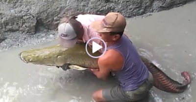 Video: Dân làng phấn khích xem hai người đàn ông bắt cá ‘khổng lồ’